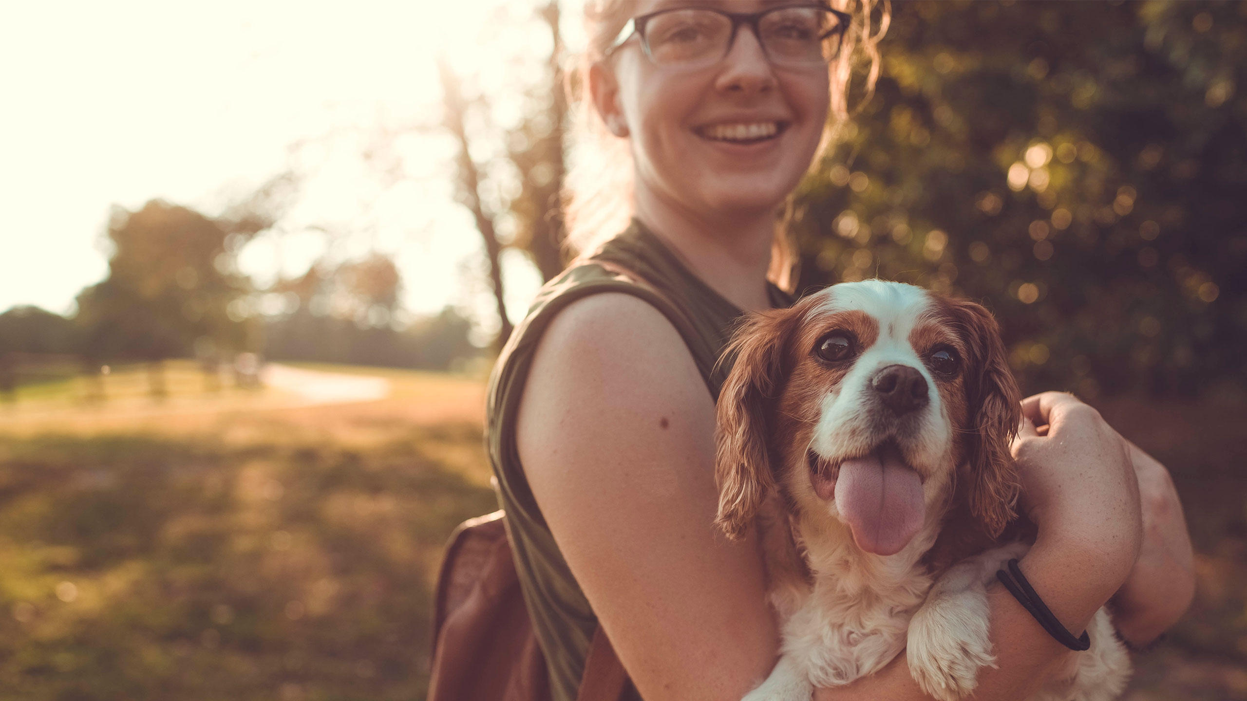 Ledrosee-Wohnungen mit Blick | Ledro House Ledro House | Mit Ihrem Hund 