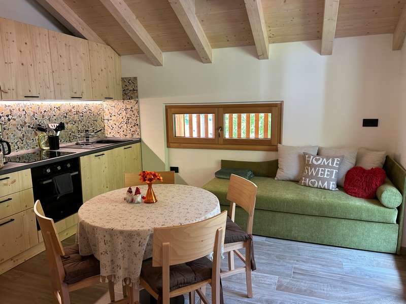 Appartamenti Lago di Ledro con vista |  Ledro House Ledro House | APPARTAMENTO CASA DASCA MEZZOLAGO