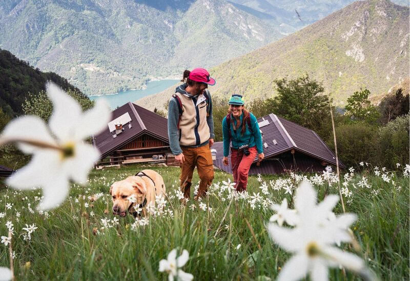 4=3, 1 notte in regalo!