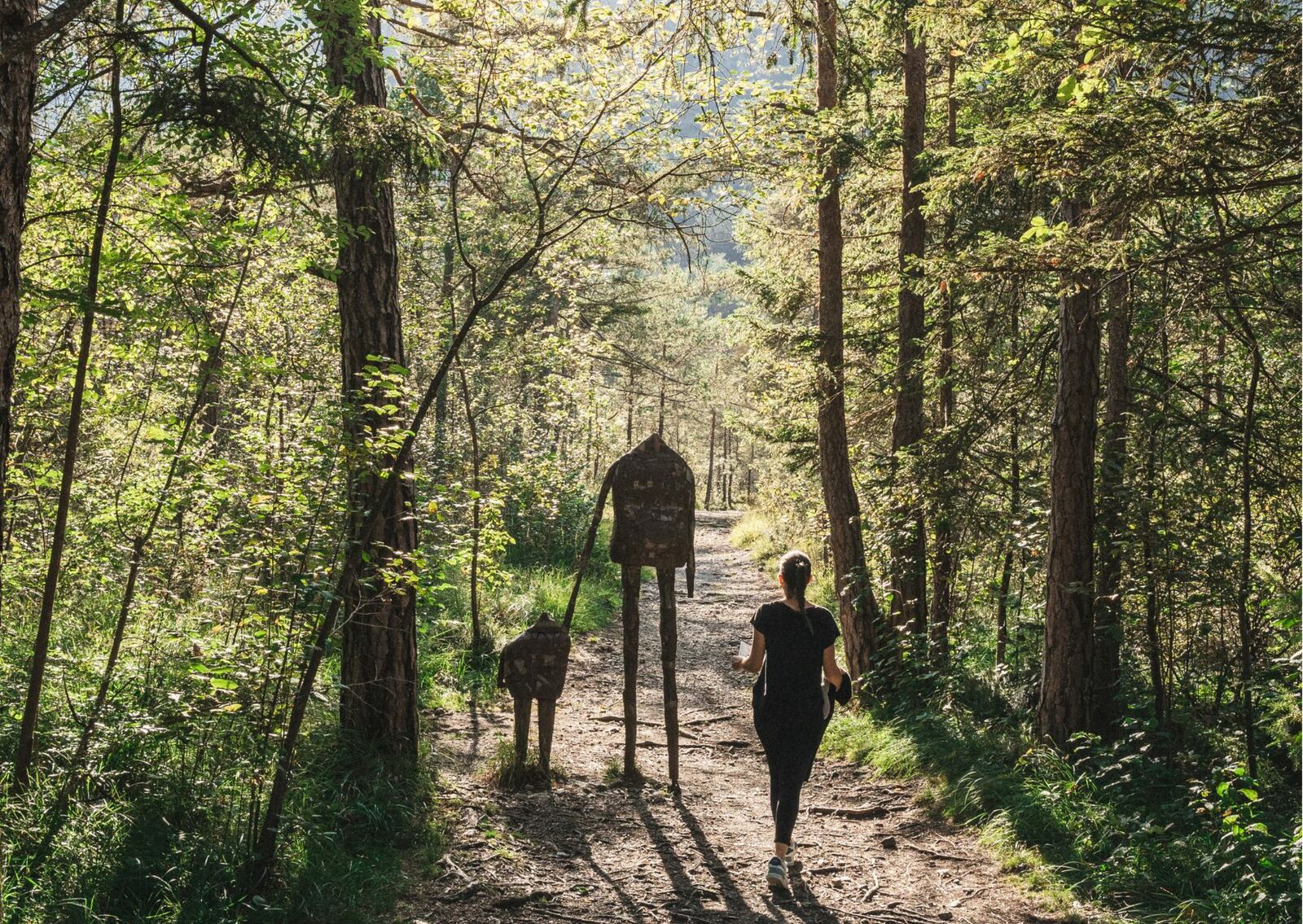 Offerta 7=6 , 1 notte in regalo!